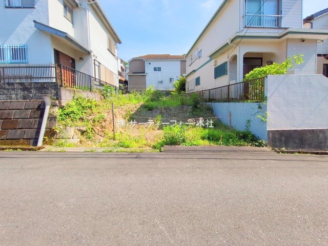 撮影日(2025-05-13 00:00:00)