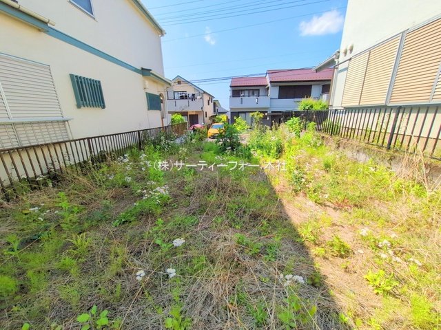 撮影日(2025-05-13 00:00:00)