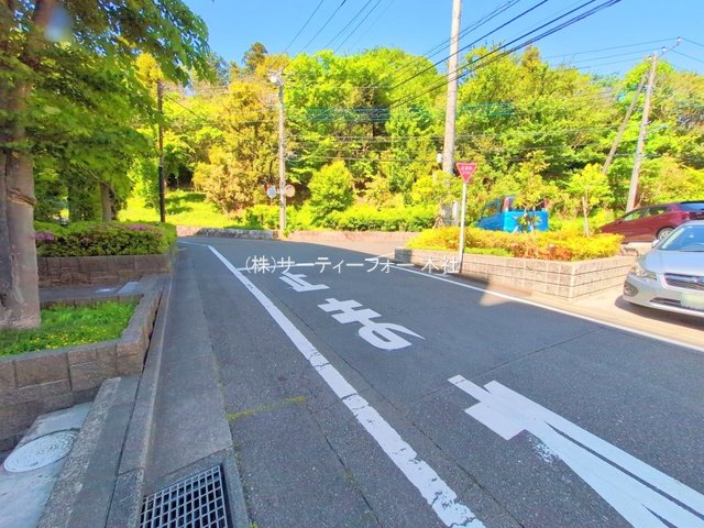 撮影日(2025-04-30 00:00:00)