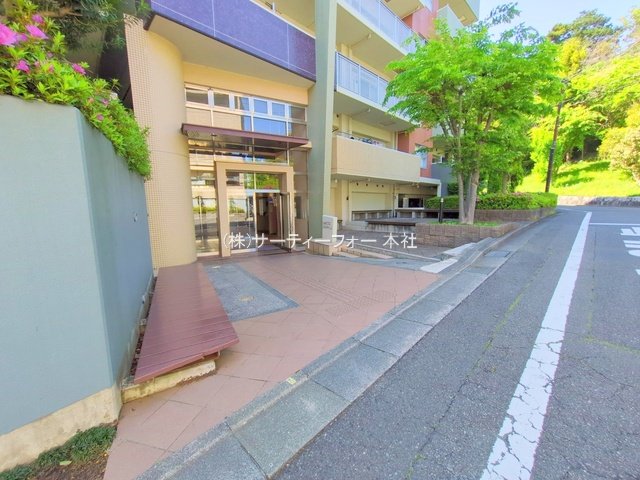 撮影日(2025-04-30 00:00:00)
