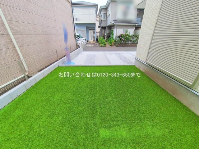 撮影日(2025-06-24 00:00:00)