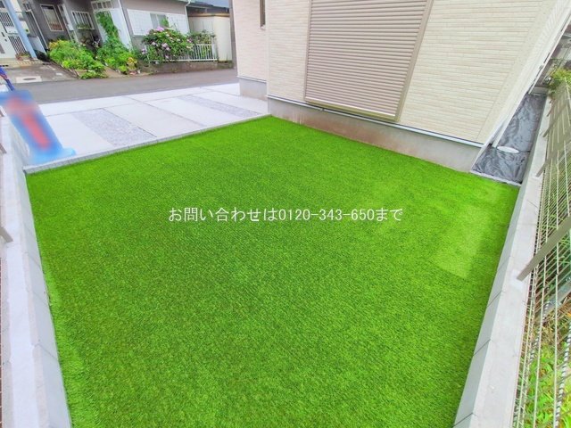 撮影日(2025-06-24 00:00:00)