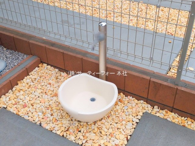撮影日(2025-06-11 00:00:00)