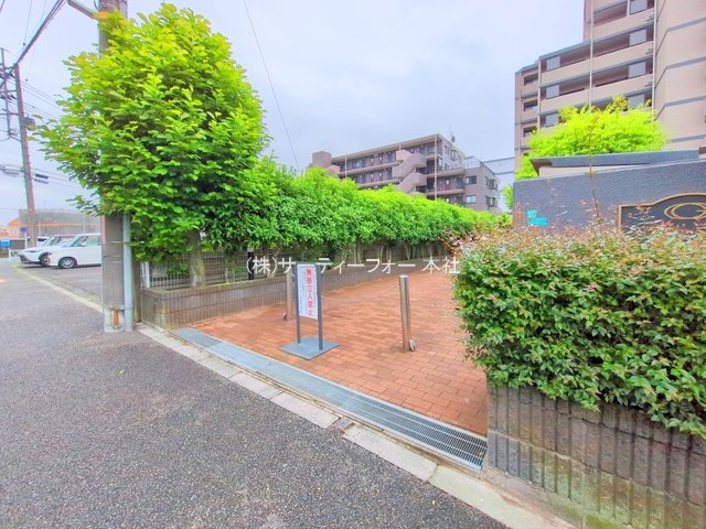 撮影日(2025-05-12 00:00:00)