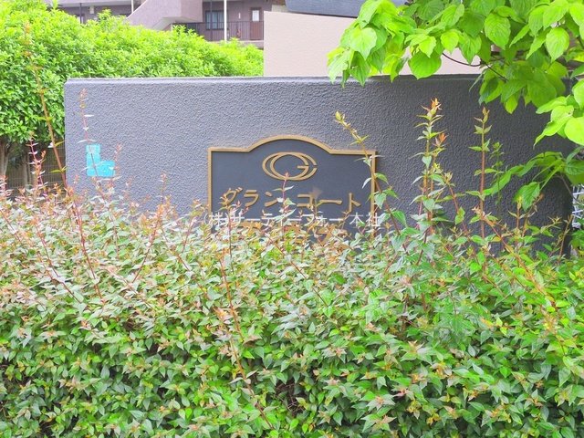 撮影日(2025-05-12 00:00:00)