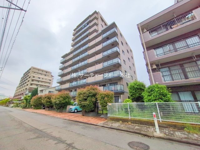 撮影日(2025-05-12 00:00:00)