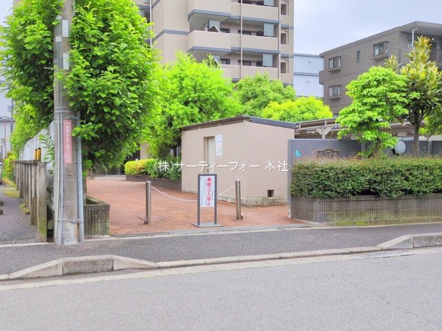 撮影日(2025-05-12 00:00:00)
