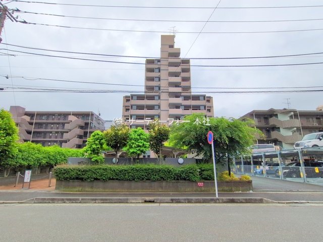 撮影日(2025-05-12 00:00:00)
