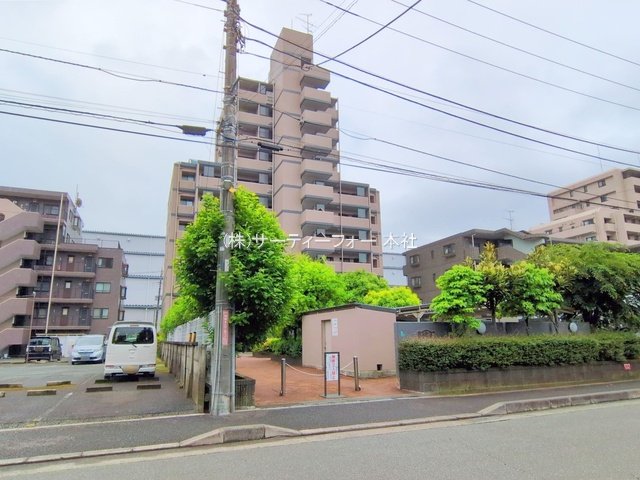 撮影日(2025-05-12 00:00:00)