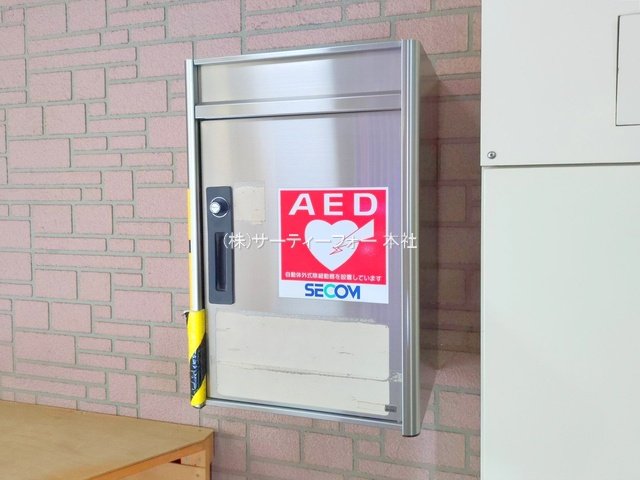撮影日(2025-05-13 00:00:00)