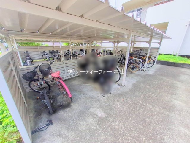 撮影日(2025-05-13 00:00:00)