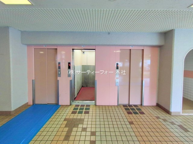撮影日(2025-05-13 00:00:00)