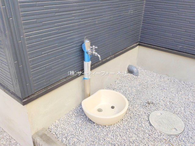 撮影日(2025-02-19 00:00:00)