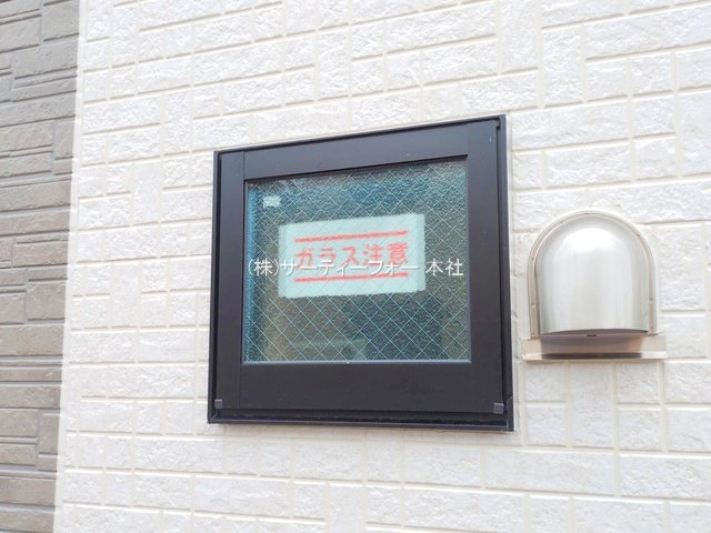 撮影日(2025-05-09 00:00:00)