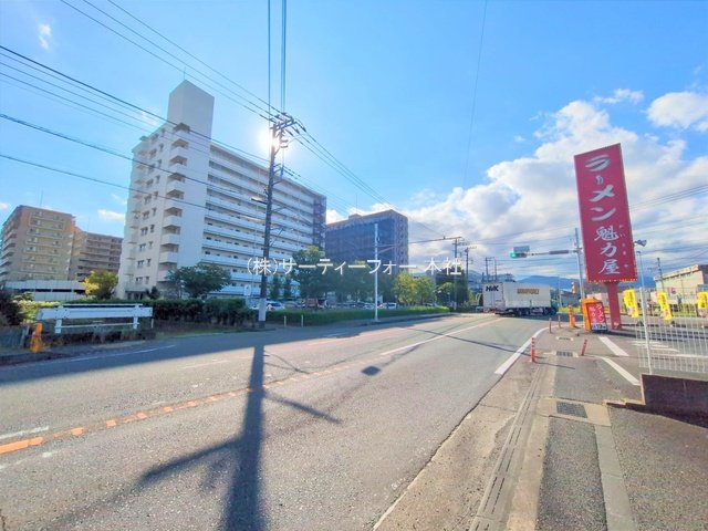 撮影日(2024-11-07 00:00:00)