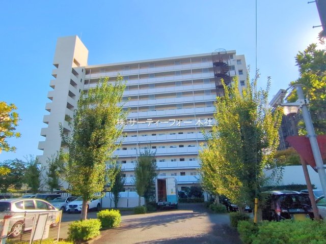 撮影日(2024-11-07 00:00:00)