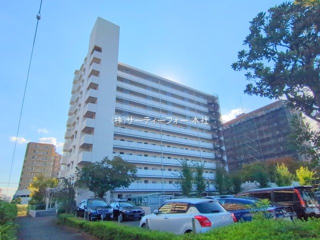 撮影日(2024-11-07 00:00:00)