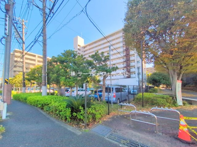 撮影日(2024-11-07 00:00:00)
