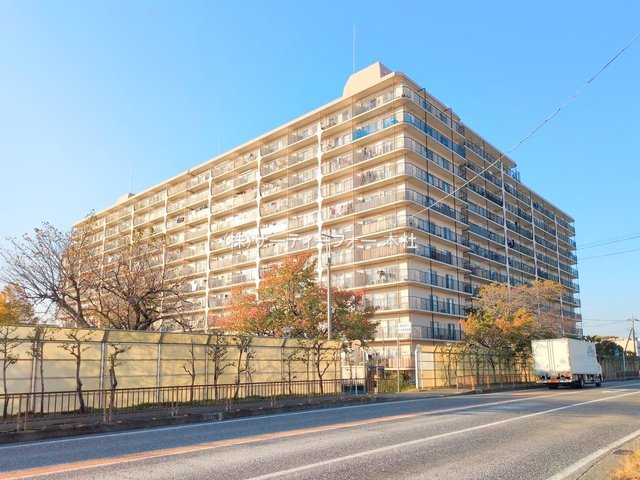 撮影日(2024-11-12 00:00:00)