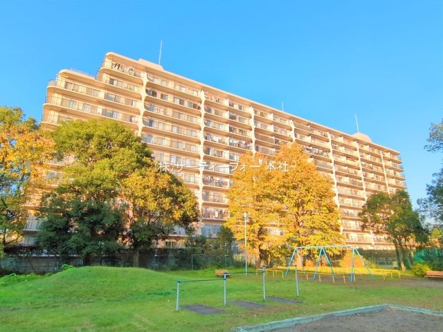 撮影日(2024-11-12 00:00:00)