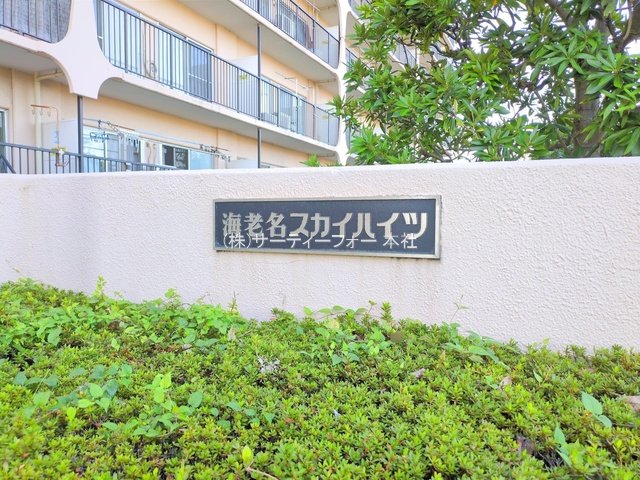 撮影日(2024-11-12 00:00:00)