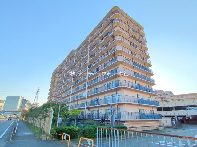 撮影日(2024-11-12 00:00:00)