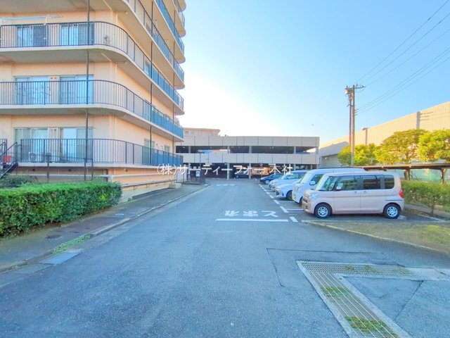 撮影日(2024-11-12 00:00:00)