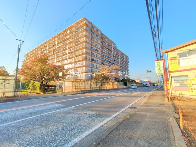 撮影日(2024-11-12 00:00:00)