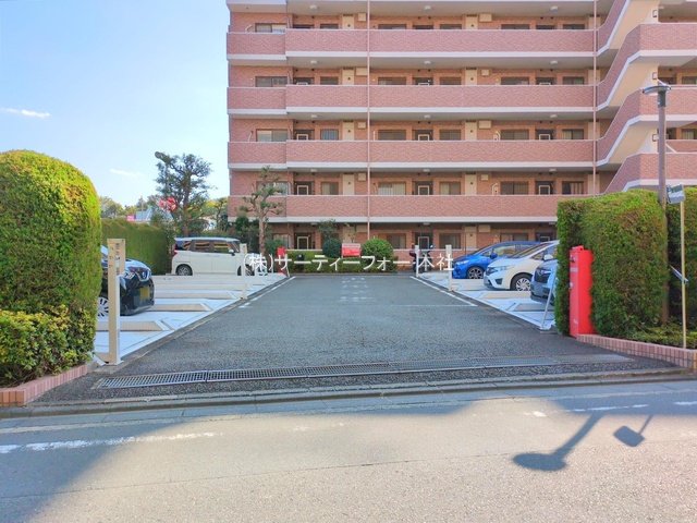 撮影日(2024-11-13 00:00:00)