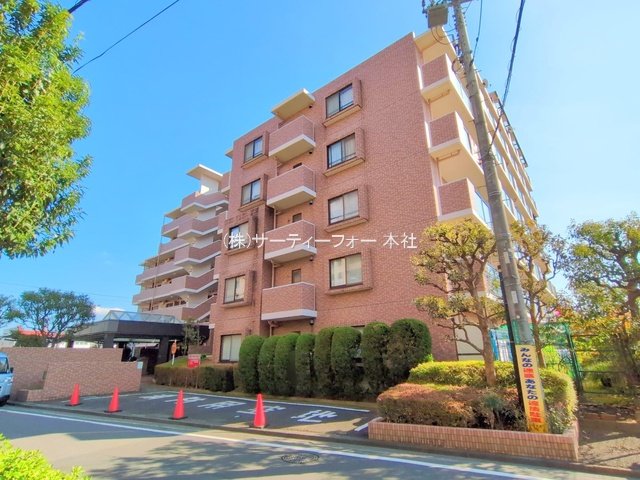 撮影日(2024-11-13 00:00:00)