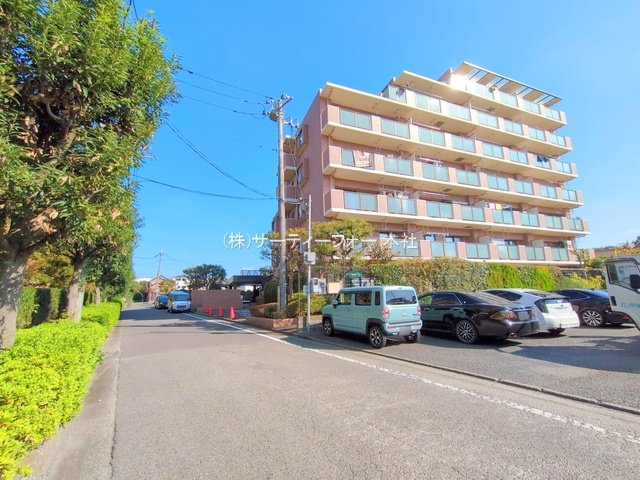 撮影日(2024-11-13 00:00:00)