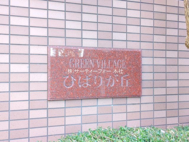 撮影日(2024-11-13 00:00:00)