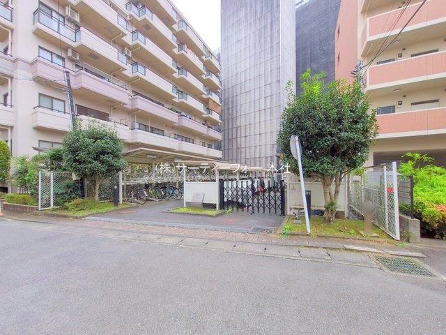 撮影日(2024-11-14 00:00:00)