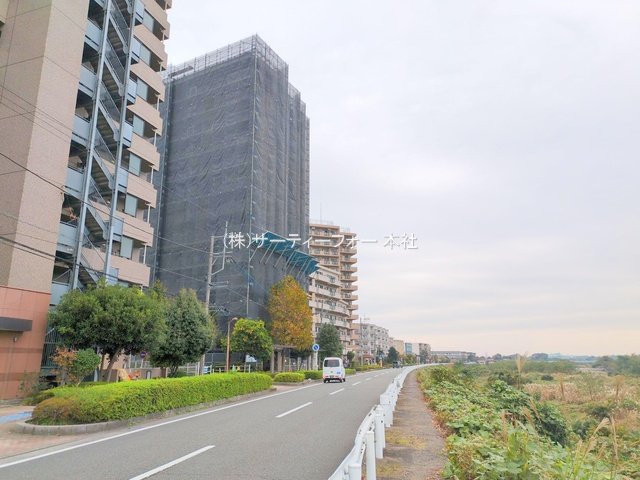 撮影日(2024-11-14 00:00:00)