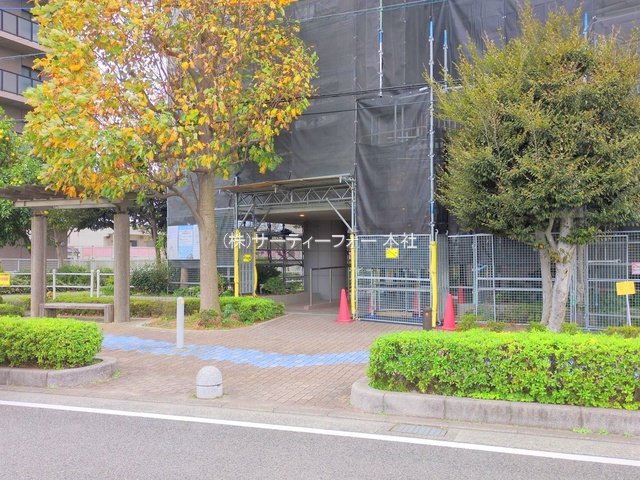 撮影日(2024-11-14 00:00:00)