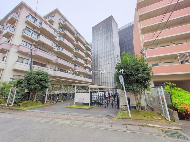 撮影日(2024-11-14 00:00:00)