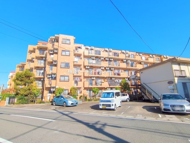 撮影日(2024-11-22 00:00:00)