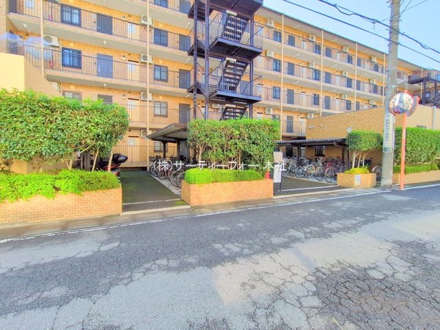撮影日(2024-11-22 00:00:00)