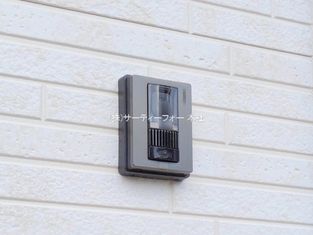 撮影日(2025-03-11 00:00:00)