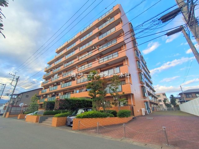 撮影日(2024-12-12 00:00:00)
