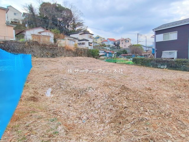 撮影日(2025-01-21 00:00:00)