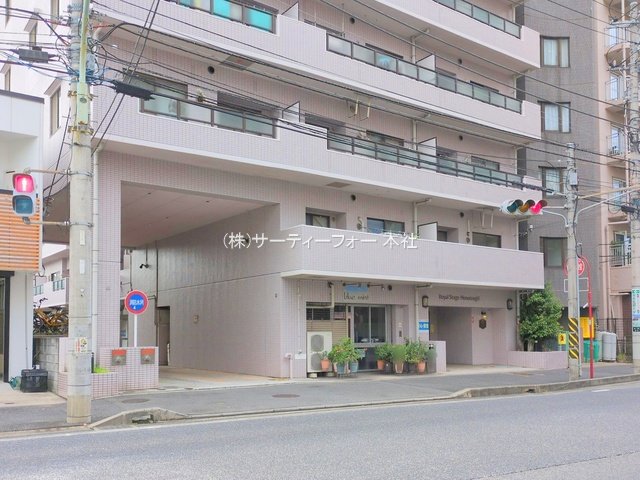 撮影日(2024-11-18 00:00:00)