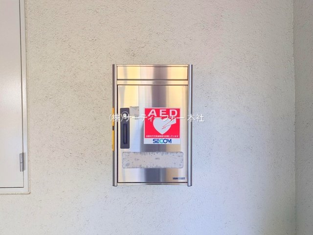 撮影日(2025-02-06 00:00:00)