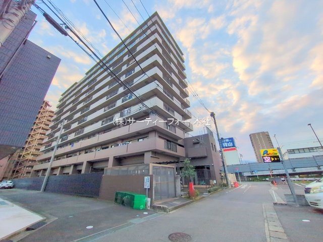 撮影日(2024-11-13 00:00:00)
