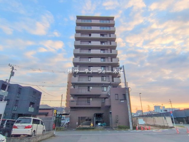 撮影日(2024-11-13 00:00:00)