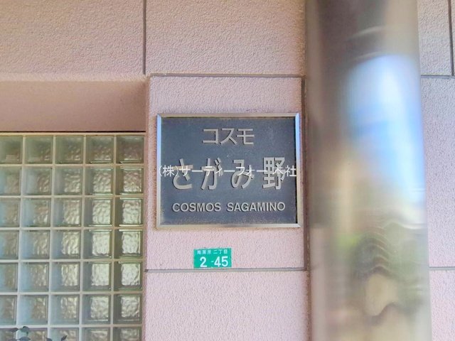 撮影日(2025-02-18 00:00:00)