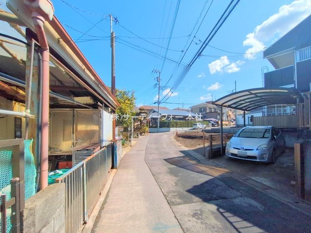 撮影日(2025-03-17 00:00:00)