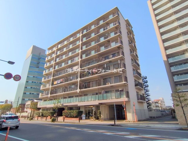撮影日(2025-03-25 00:00:00)
