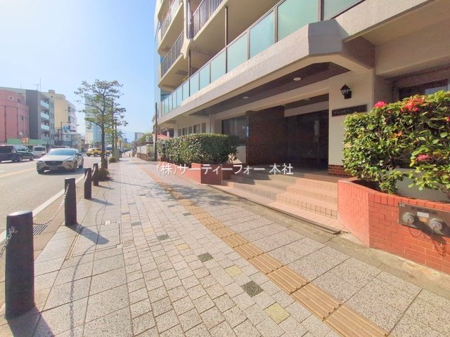 撮影日(2025-03-25 00:00:00)