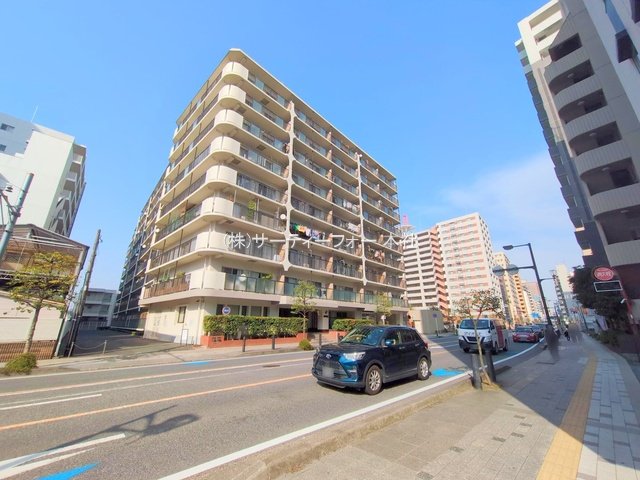 撮影日(2025-03-25 00:00:00)